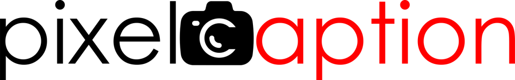Pixel Caption